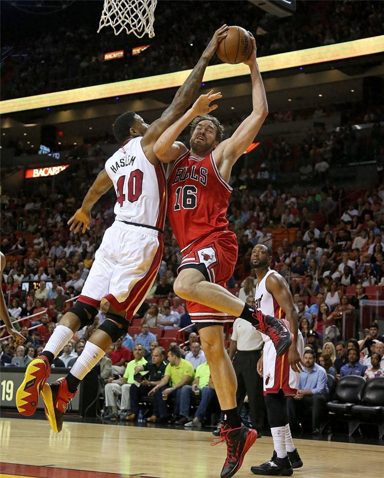 中国女网除 中国女网除